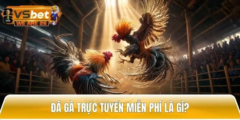 Giới thiệu về đá gà trực tuyến miễn phí