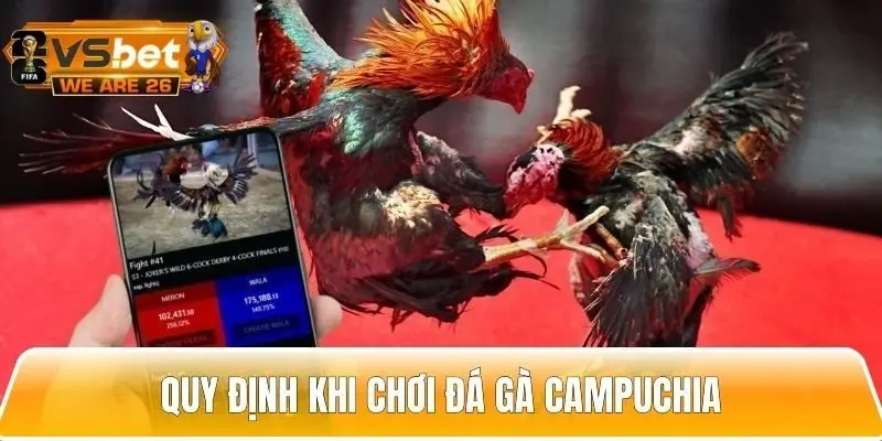 Những quy định chung khi chơi đá gà