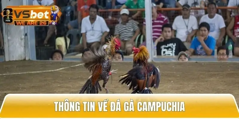 Giới thiệu về đá gà Campuchia
