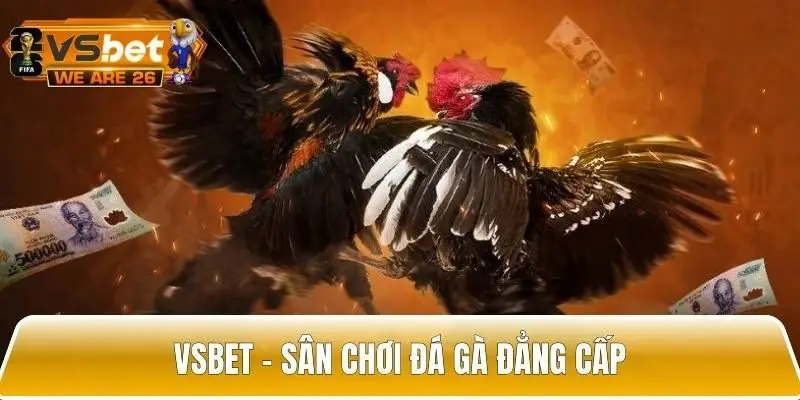 Vsbet sân chơi đá gà uy tín top đầu hiện nay