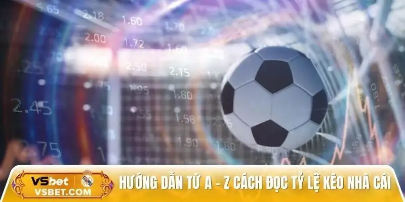 Hướng dẫn cách đọc tỷ lệ kèo nhà cái đơn giản