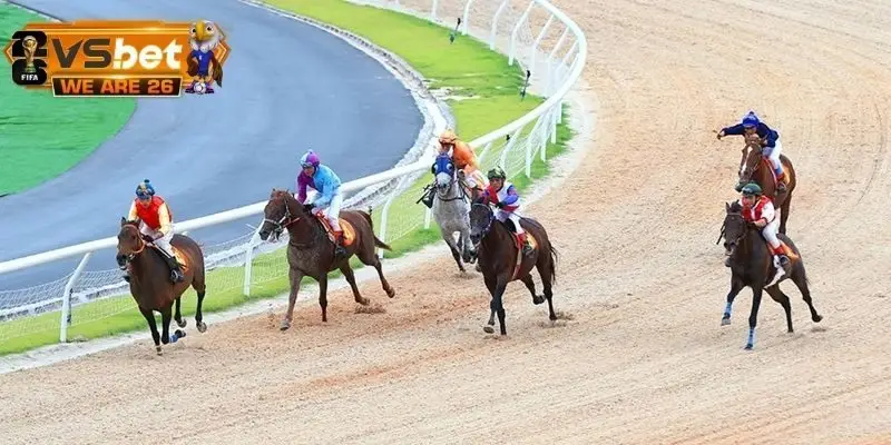 Lý do mẹo cá cược đua ngựa được người chơi quan tâm?