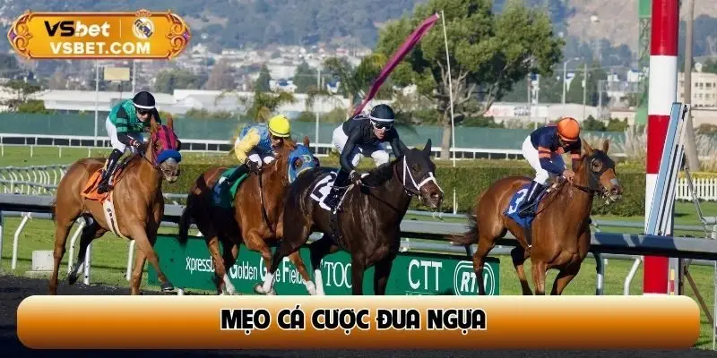 Mẹo cá cược đua ngựa