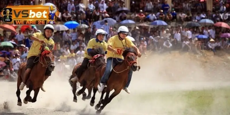 Sai lầm hay gặp khiến cá cược đua ngựa không hiệu quả