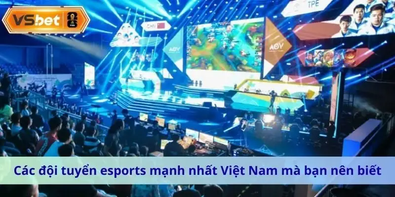 các đội tuyển esports mạnh nhất Việt Nam
