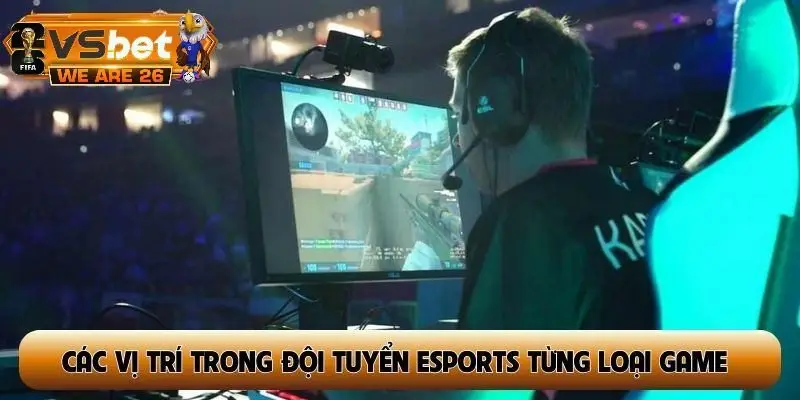 Tổng hợp các vị trí trong đội tuyển Esports theo từng loại game
