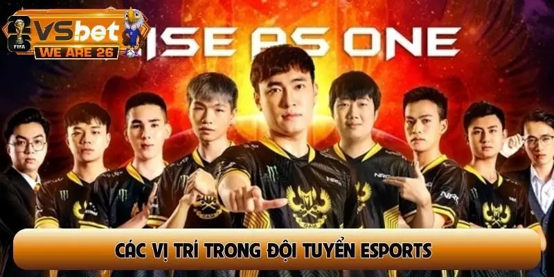 Các vị trí trong đội tuyển esports