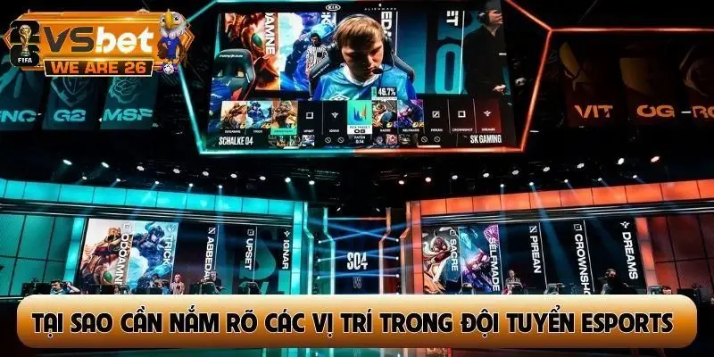 Tại sao cần nắm rõ các vị trí trong đội tuyển Esports