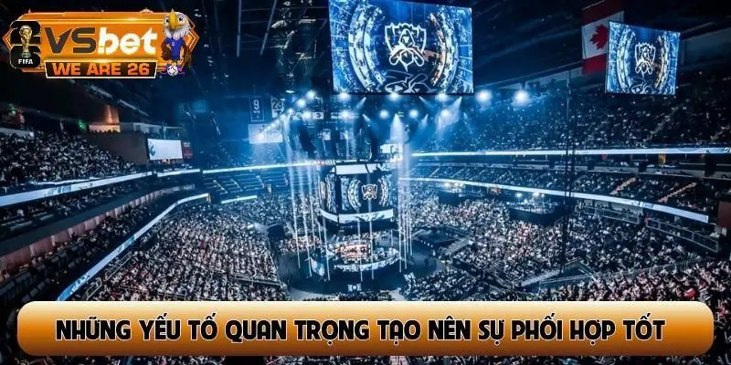 Những yếu tố quan trọng tạo nên sự phối hợp tốt
